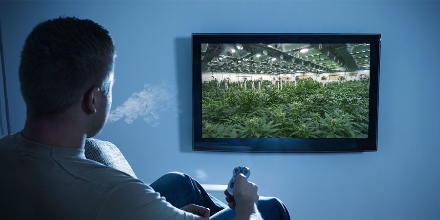 MARIDANDO MARIHUANA Y DOCUMENTALES