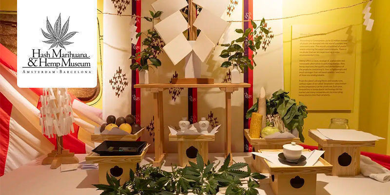 Museo del hachís, la marihuana y el cáñamo - Ámsterdam/Barcelona