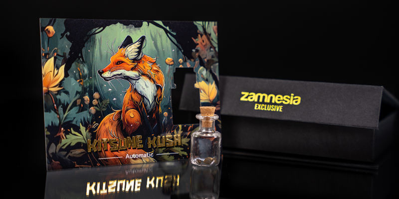 Nivel 1 - Scouting Fox: Kitsune Kush Auto