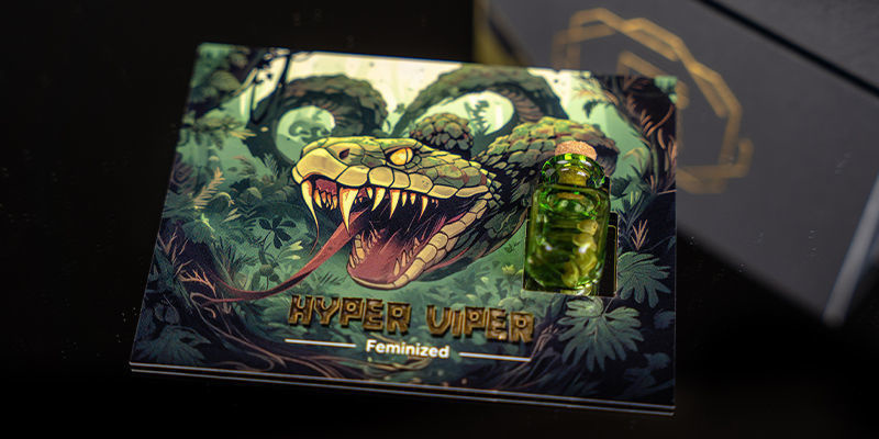 Nivel 2 - Rising Cobra: Hyper Vyper