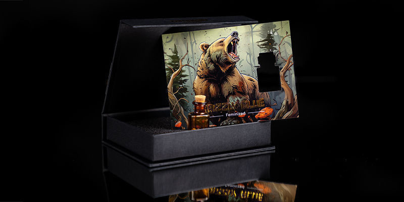 Nivel 4 - Roaring Bear: Grizzly Glue