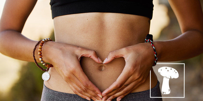 ¿Qué Beneficios Aportan Las Setas A Nuestro Cuerpo?