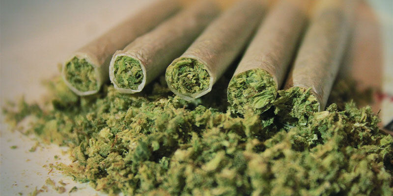 ¿Qué Ocurre Cuando Fumas O Ingieres Demasiada Marihuana?
