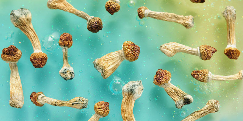 Biohacking con setas psicodélicas