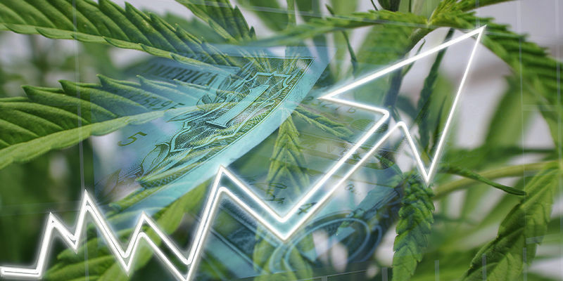 ¿Qué ofrece la IA al sector del cannabis?