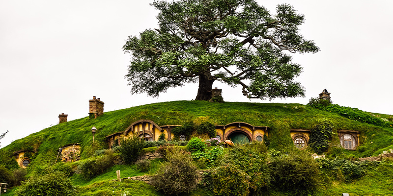 La hoja del Valle Largo en LOTR: ¡Ya nos gustaría que fuese marihuana!