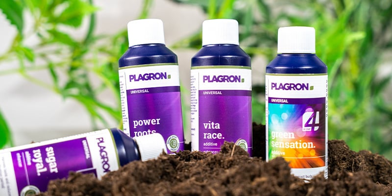 Aditivos para el cultivo de marihuana: Información importante