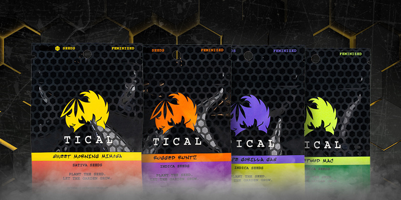 Descubre las variedades exclusivas de TICAL