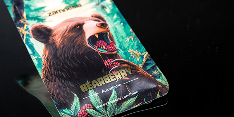 Nivel 4: Bearberry Automatic (Zamnesia Seeds)