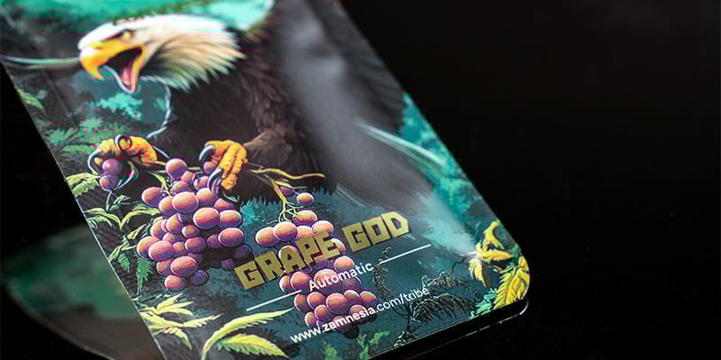 Nivel 5: Grape God Automatic (Zamnesia Seeds)