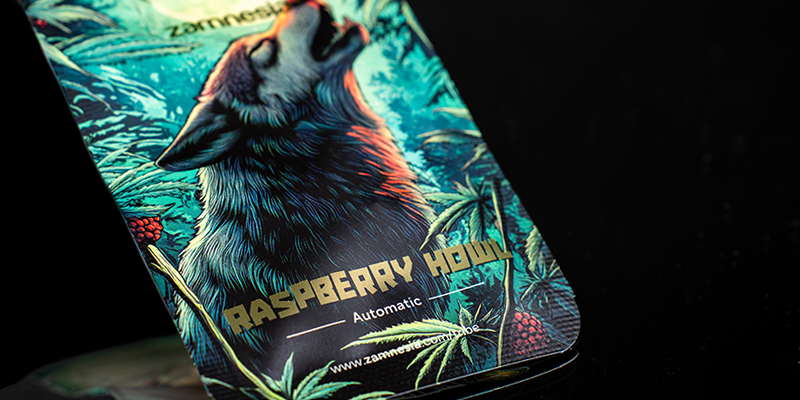 Nivel 3: Raspberry Howl Automatic (Zamnesia Seeds)