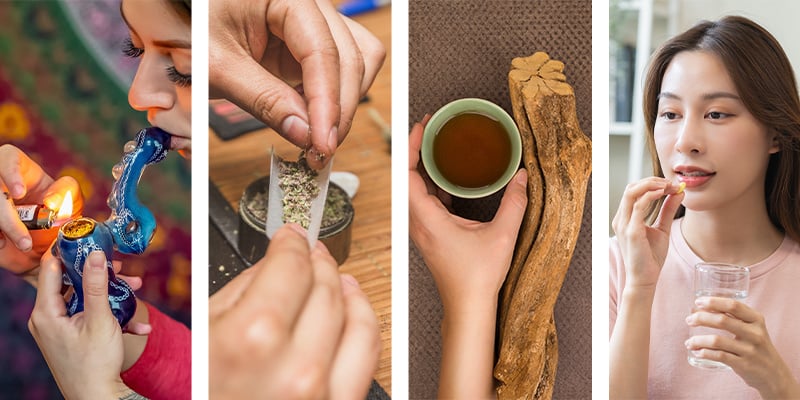 ¿Cómo se consume la DMT?