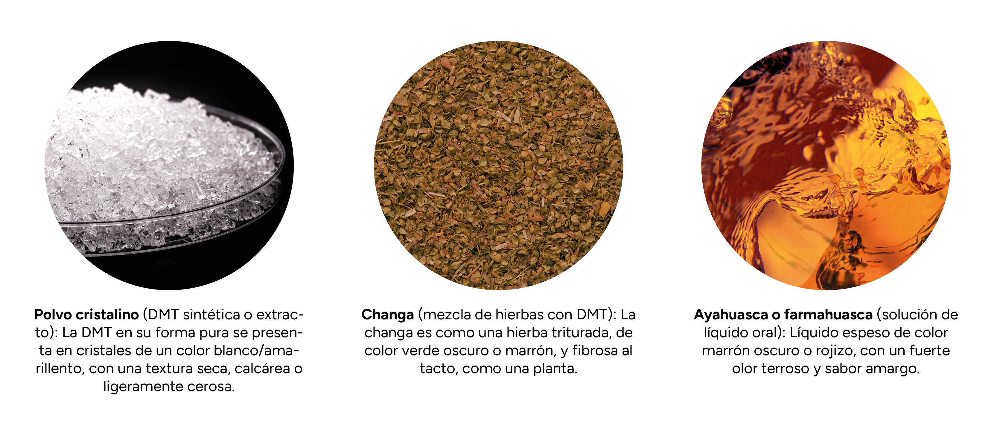 ¿Qué aspecto tiene la DMT?