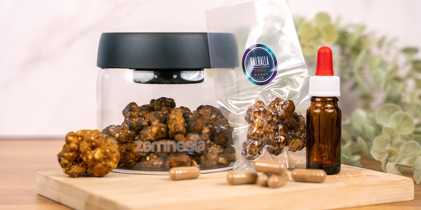 Secar las trufas para distintos métodos de consumo (cápsulas, tinturas y más)