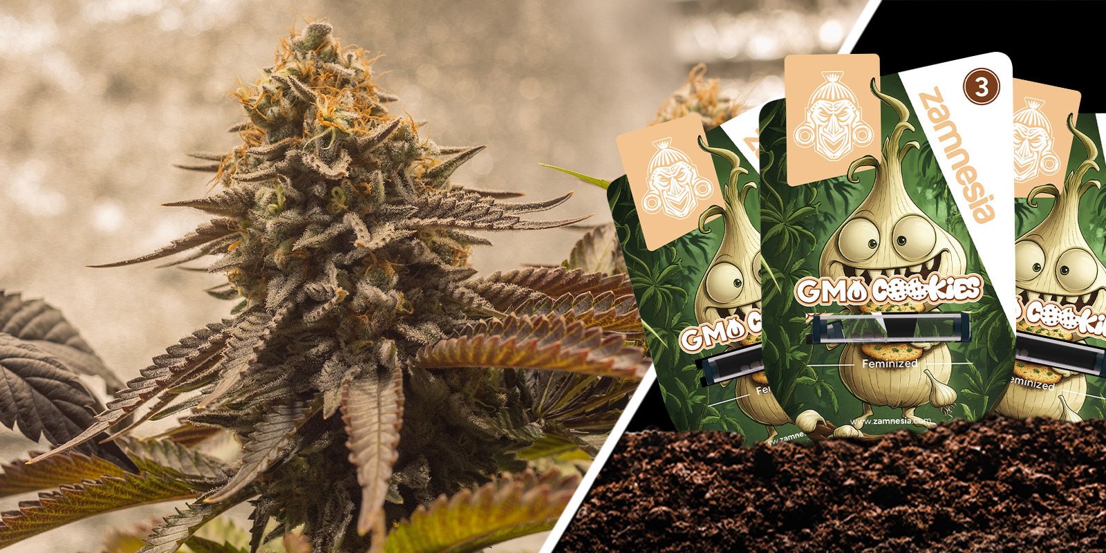 GMO Cookies: Llamativa e inolvidable