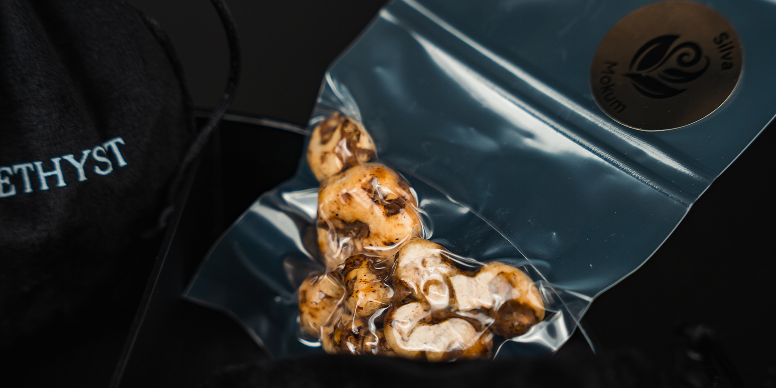 Silva (Tierra): Enraizada y reconfortante