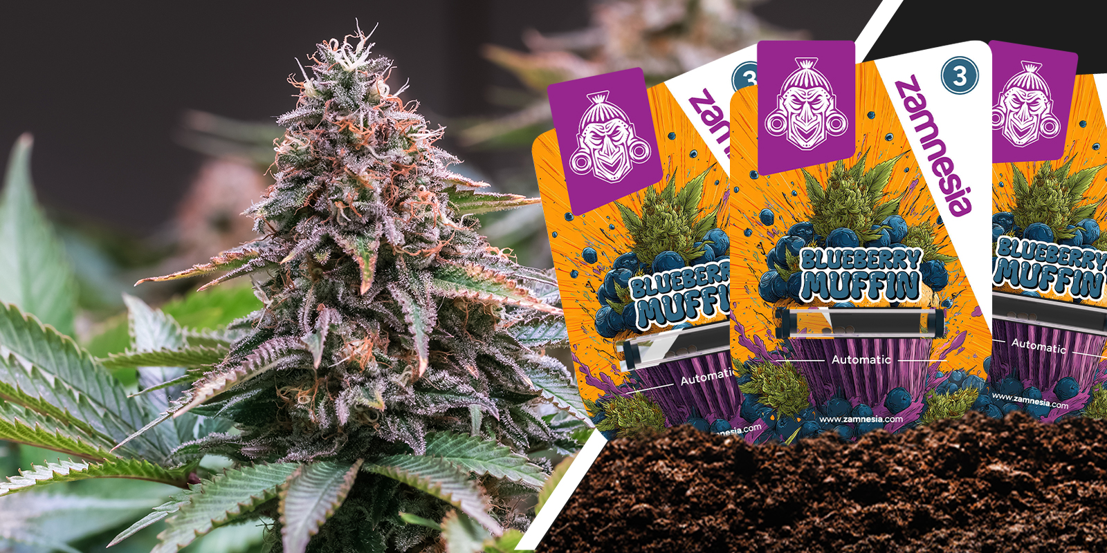 Blueberry Muffin: dulzor de frutos del bosque en cada bocado