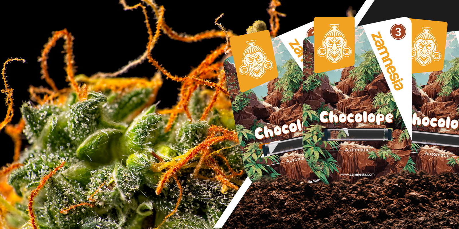 Chocolope: un aire nost&aacute;lgico con giro a chocolate