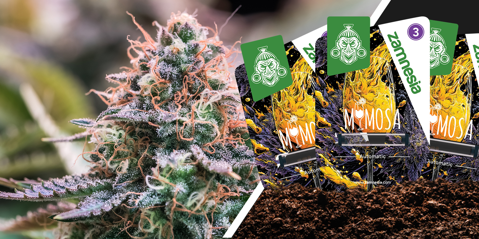 Mimosa: chispa c&iacute;trica con aterrizaje suave