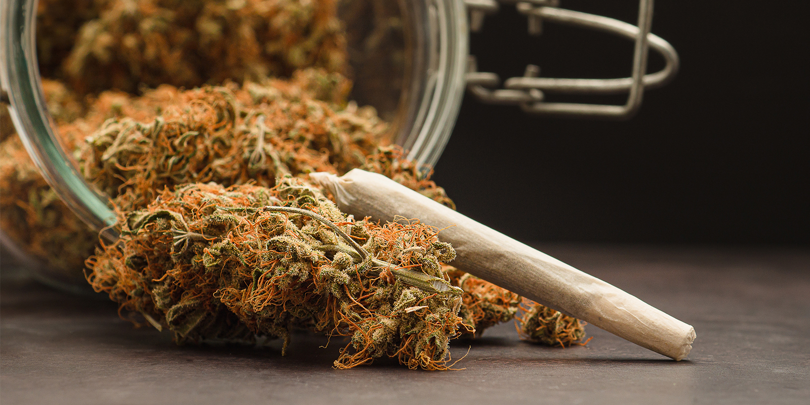 Lo mejor del valle, de la semilla a tu reserva