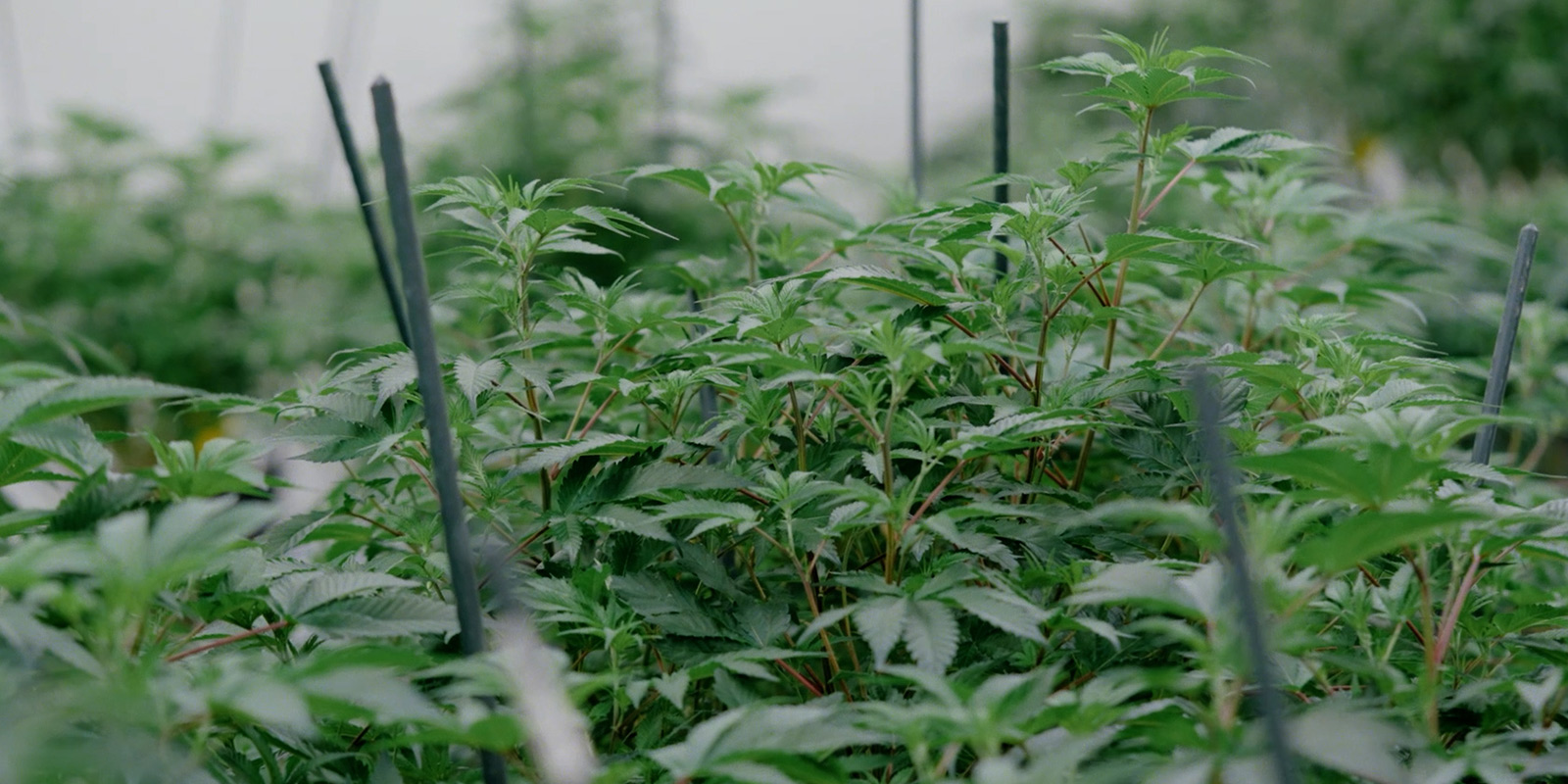 Un nuevo cap&iacute;tulo