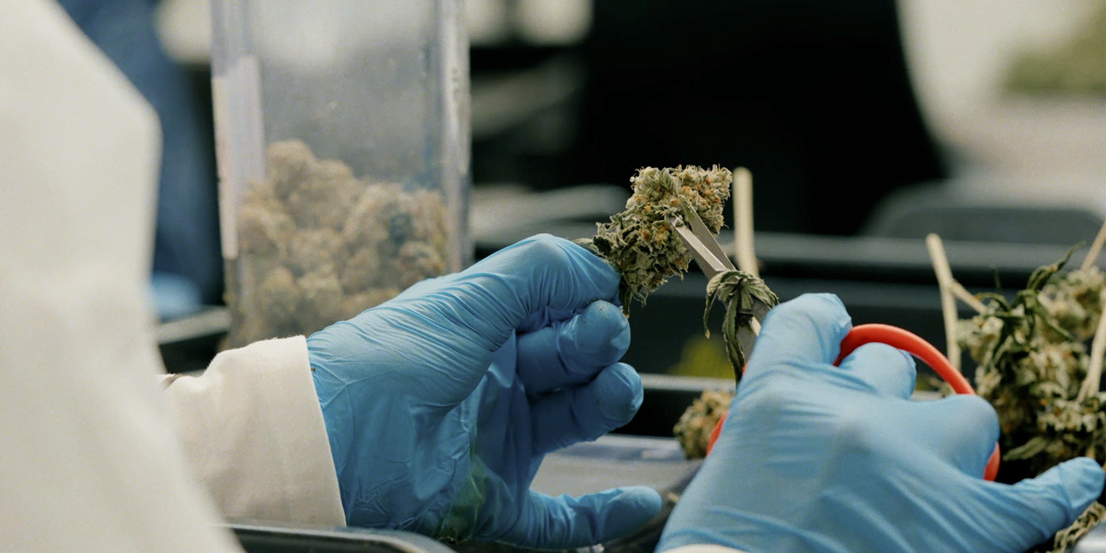 Impacto en la comunidad y en el futuro