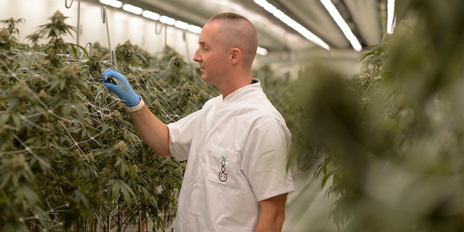 Orientarse en el panorama actual del experimento