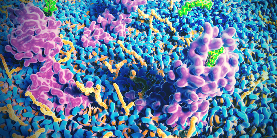 El Sistema Endocannabinoide De La Piel EL SISTEMA ENDOCANNABINOIDE DE LA PIEL