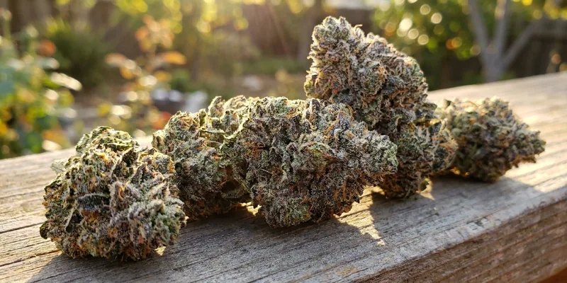 Zoap (Barney's Farm)
