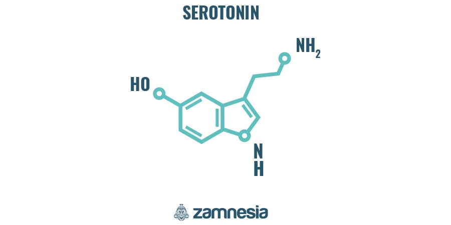 Breve Historia Del LSD