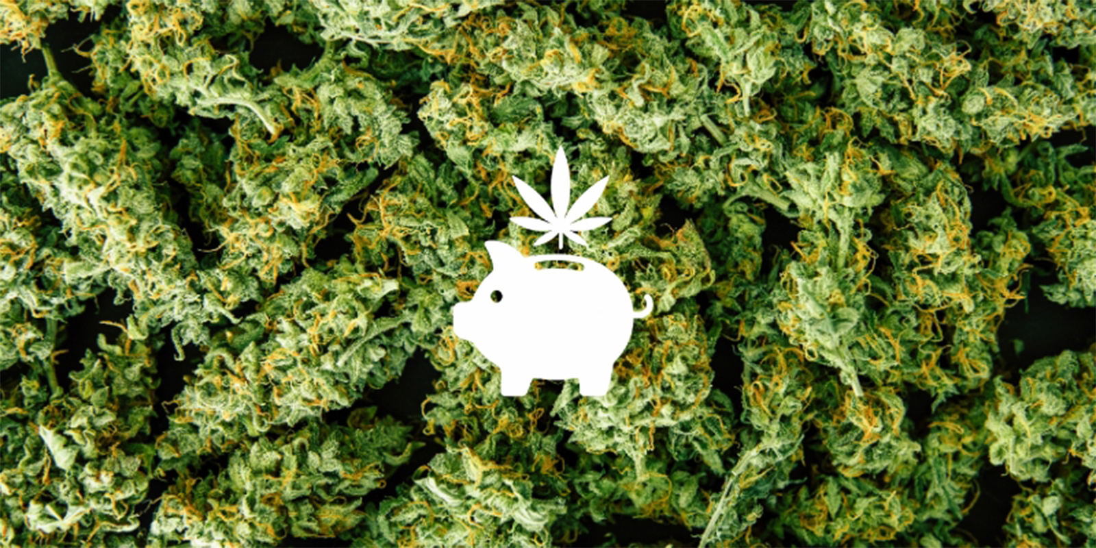 Razón nº1: Ahorro a largo plazo Razón nº1: Ahorro a largo plazo