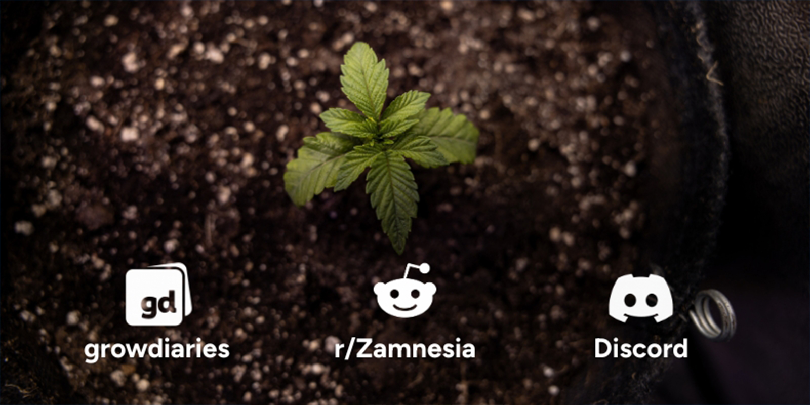 Razón nº10: Únete a una comunidad creciente Razón nº10: Únete a una comunidad creciente