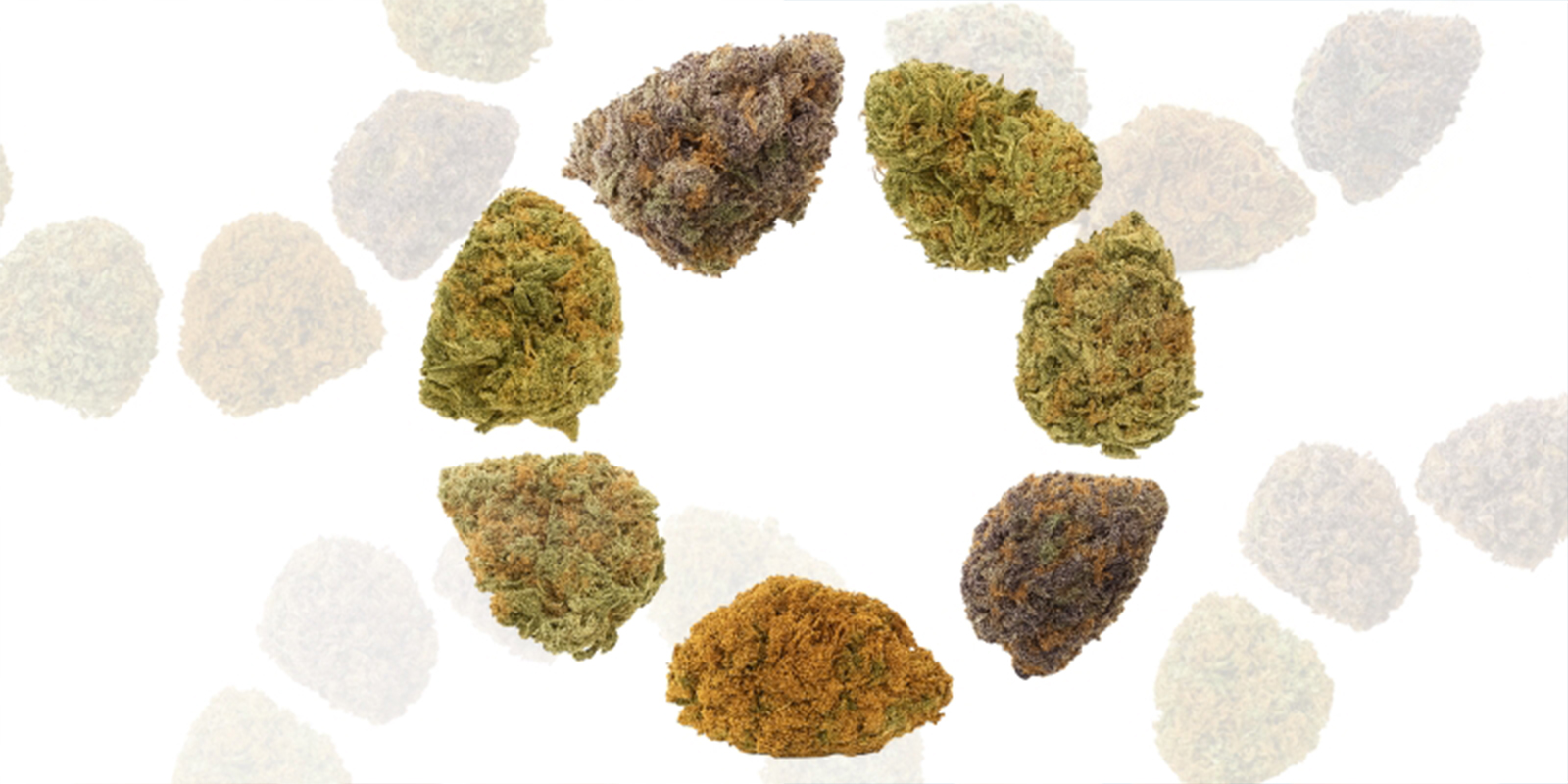 Razón nº3: Adaptado a ti Razón nº3: Adaptado a ti