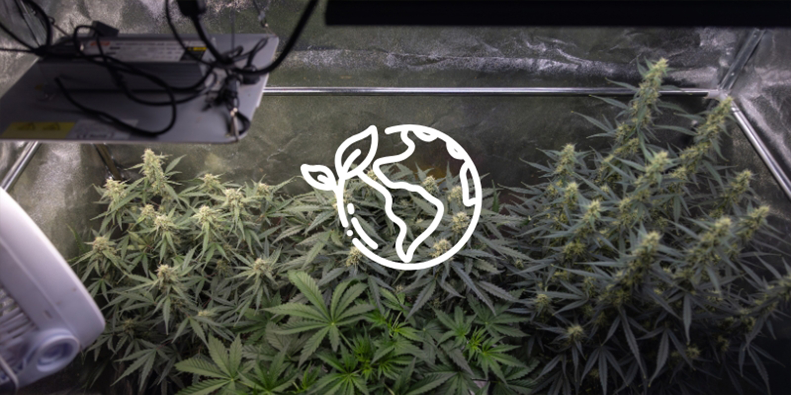 Razón nº5: Es más sostenible Razón nº5: Es más sostenible