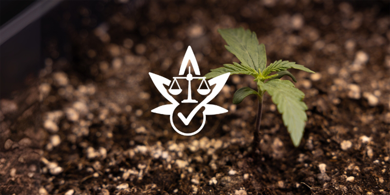 Razón nº7: Libertad legal Razón nº7: Libertad legal