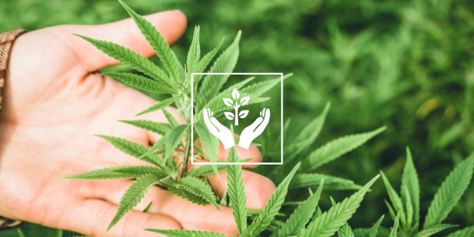 Razón nº8: Terapéutico y consciente Razón nº8: Terapéutico y consciente