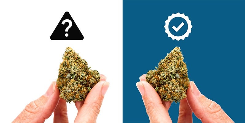 Razón nº2: Control total sobre la calidad Razón nº2: Control total sobre la calidad