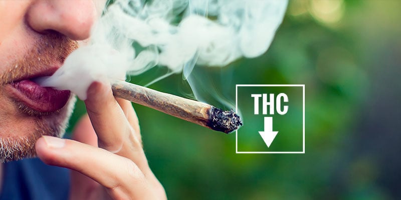 Cómo prevenir los ojos rojos al consumir marihuana