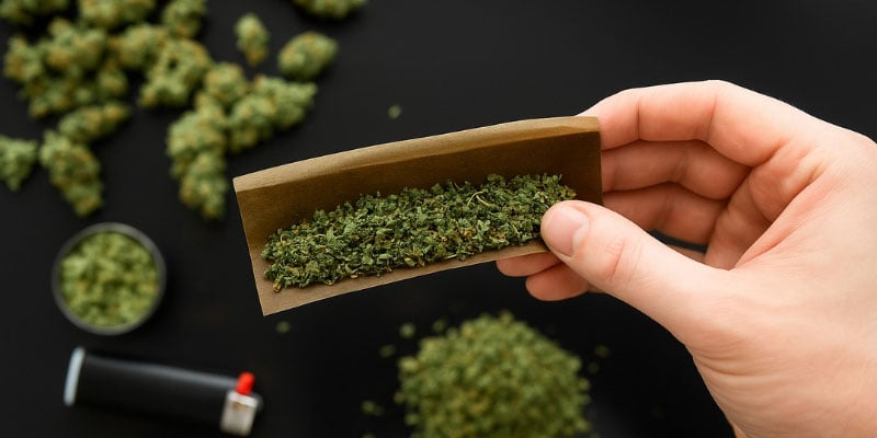 Flor de CBD (la más popular)