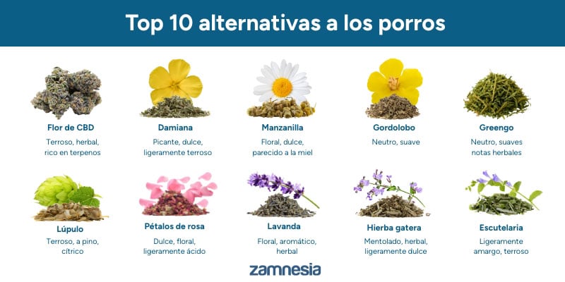 Guía visual: comparación de los mejores sustitutos
