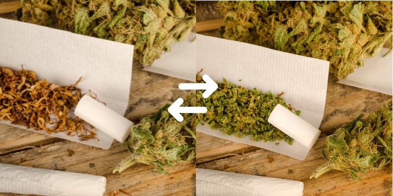 ¿Por qué dejar el tabaco en los porros?