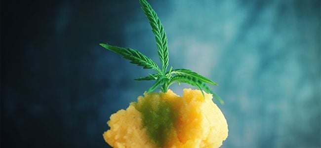 Puré De Paratas Con Cannabis