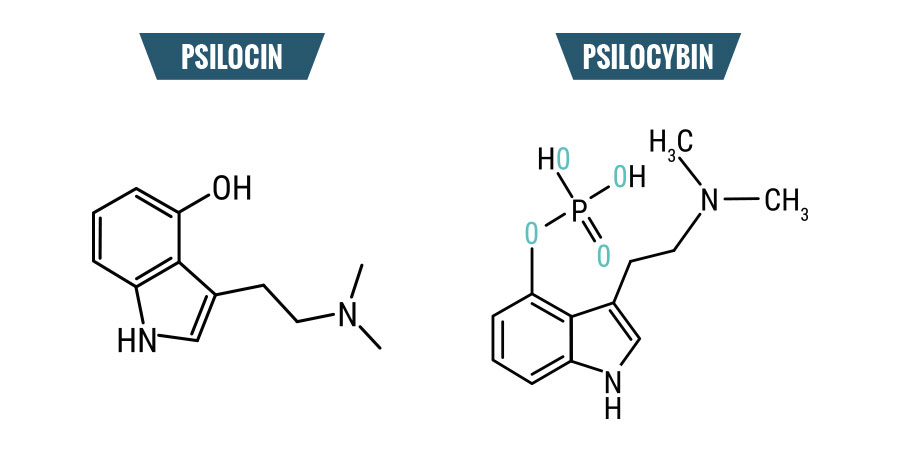 Estructura química de Setas Mágicas