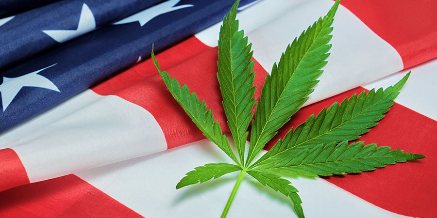 ¿Qué Tamaño Tiene El Sector De La Marihuana En Estados Unidos?