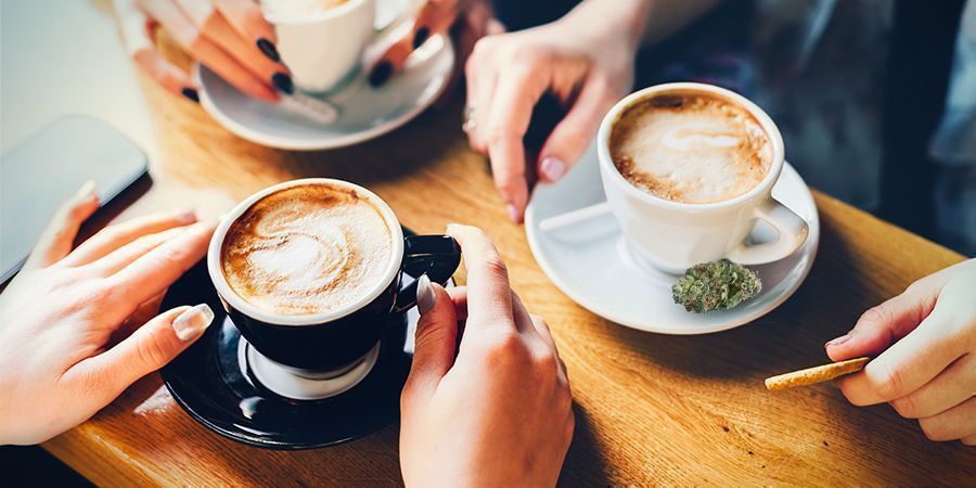 LOS EFECTOS DE LA MARIHUANA Y EL CAFÉ SON DIFERENTES EN CADA PERSONA