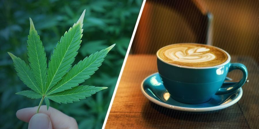 ¿CUÁLES SON LOS EFECTOS DE LA MARIHUANA Y LA CAFEÍNA POR SEPARADO?