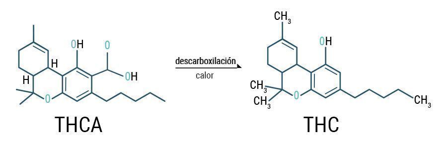 Descarboxilación THCA & THC