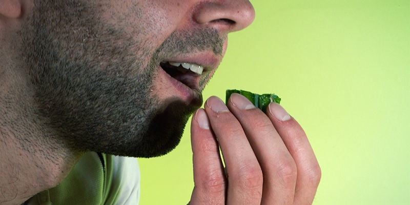 Cómo Comprobar El Nivel De Alcaloides De Un Cactus De Mescalina