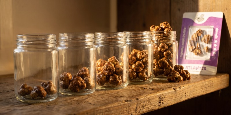 Microdosificaci&oacute;n con trufas m&aacute;gicas