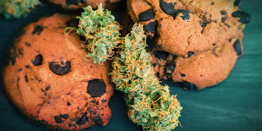 GIRL SCOUT COOKIES: SABOR Y EFECTOS